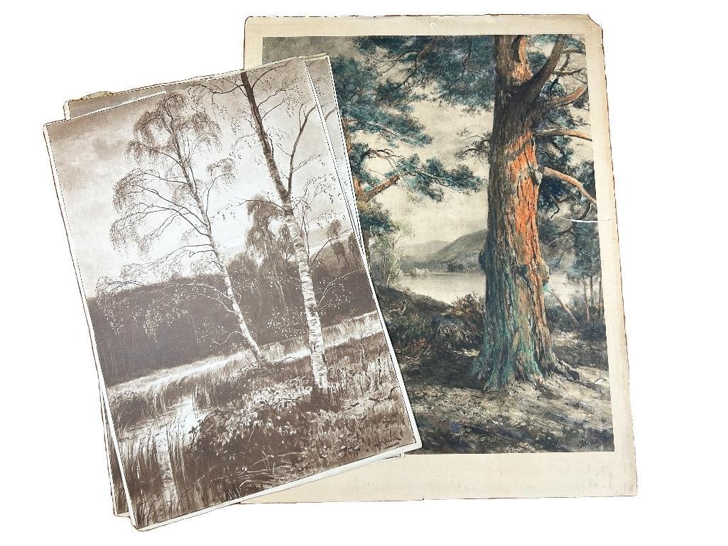 Early 20th century. Three lithographs of trees; two in sepia and one in color.   Overall good (1 of 3)