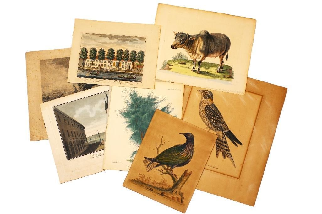 A lot of seven antique lithographs, some hand colored. Includes two prints by George Edwards. (1 of 5)