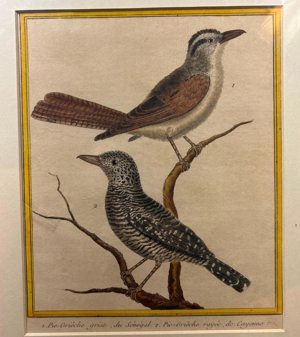 Francois Nicolas Martinet (French, 1725-1804) Plate 297 (1 of 1)