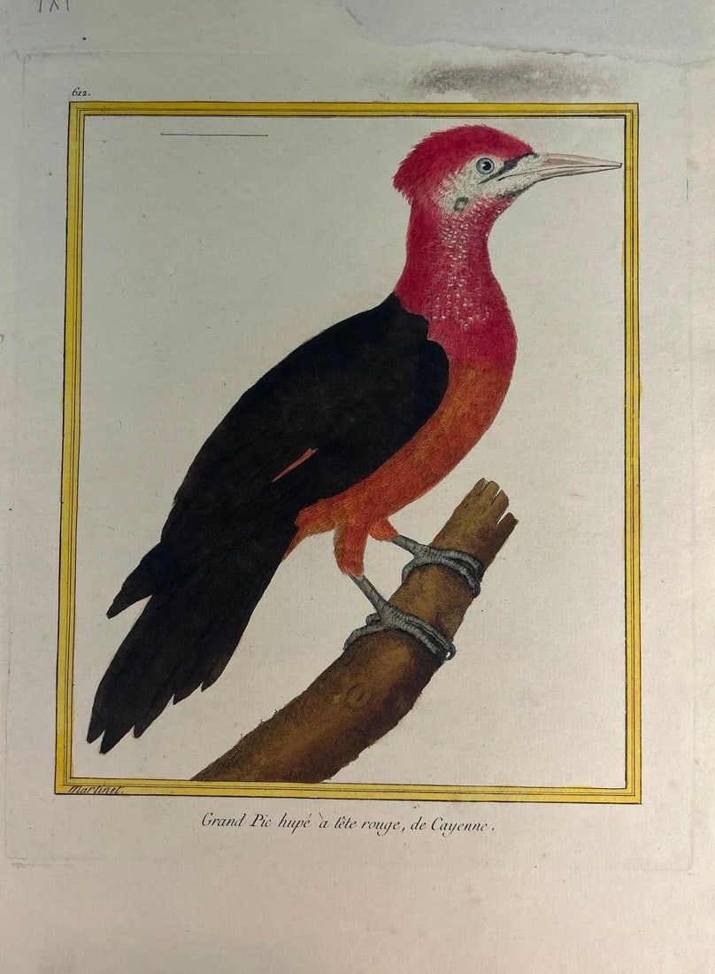 Francois Nicolas Martinet (French, 1725-1804) (1 of 6)