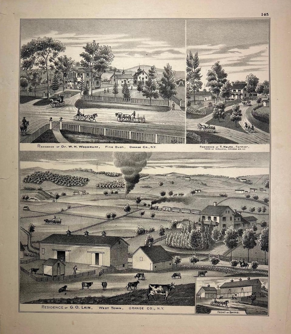 1875 Lithograph of Residences in Orange County, New York by E.E. Page (1 of 1)