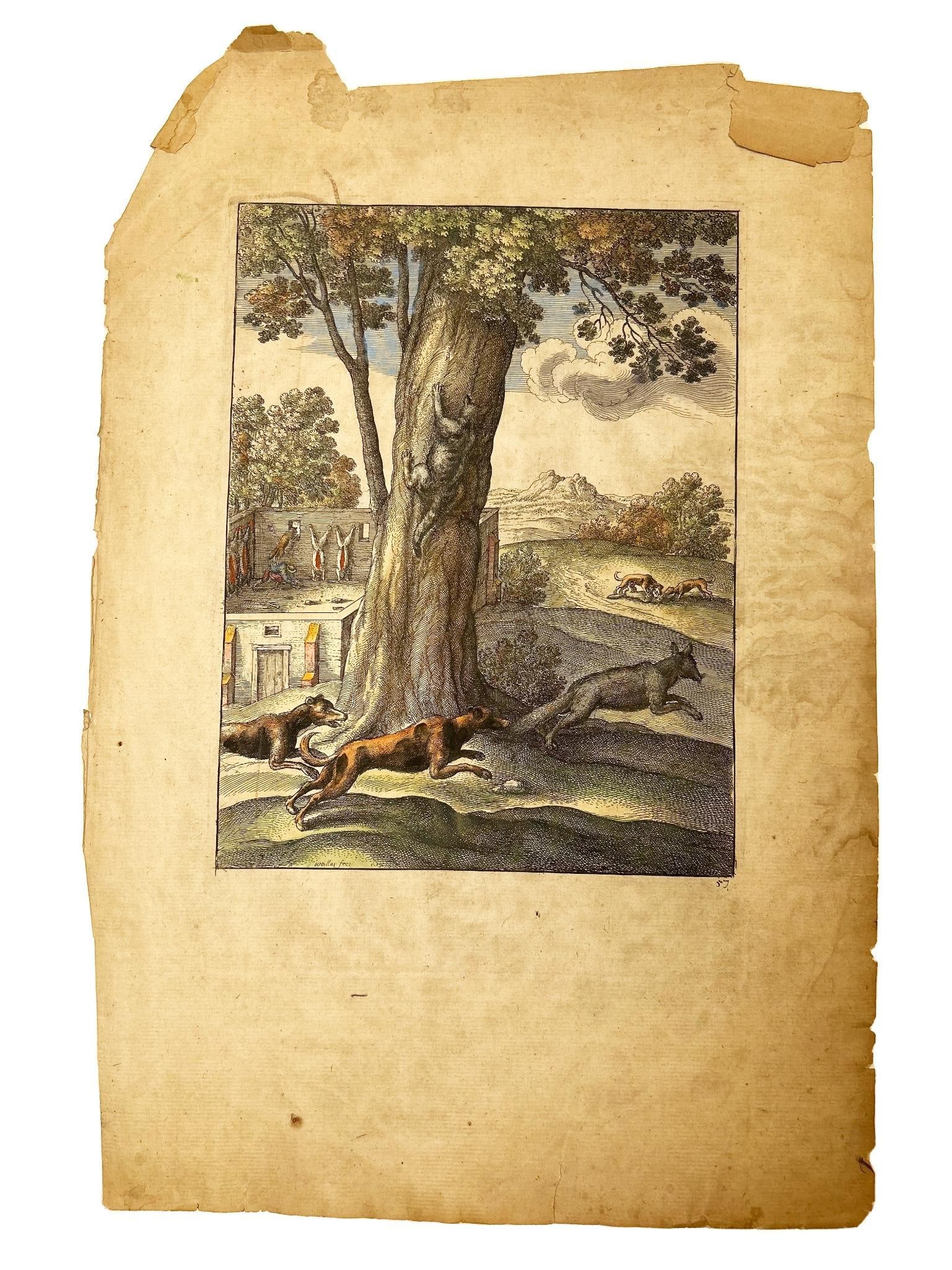 'The Fox and the Cat' by Wenceslaus Hollar (1607-1677) (1 of 2)