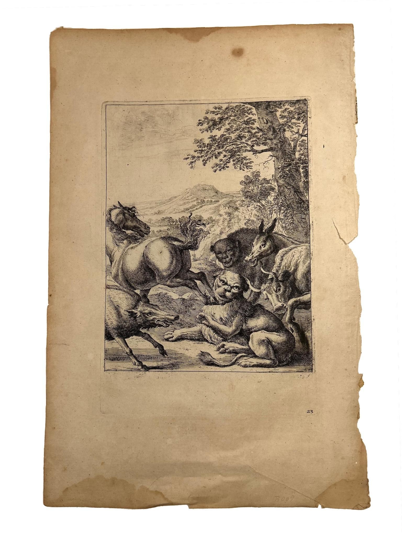 'Fable of the Old Lion'' by Dirk Stoop/John Olgiby (1 of 1)