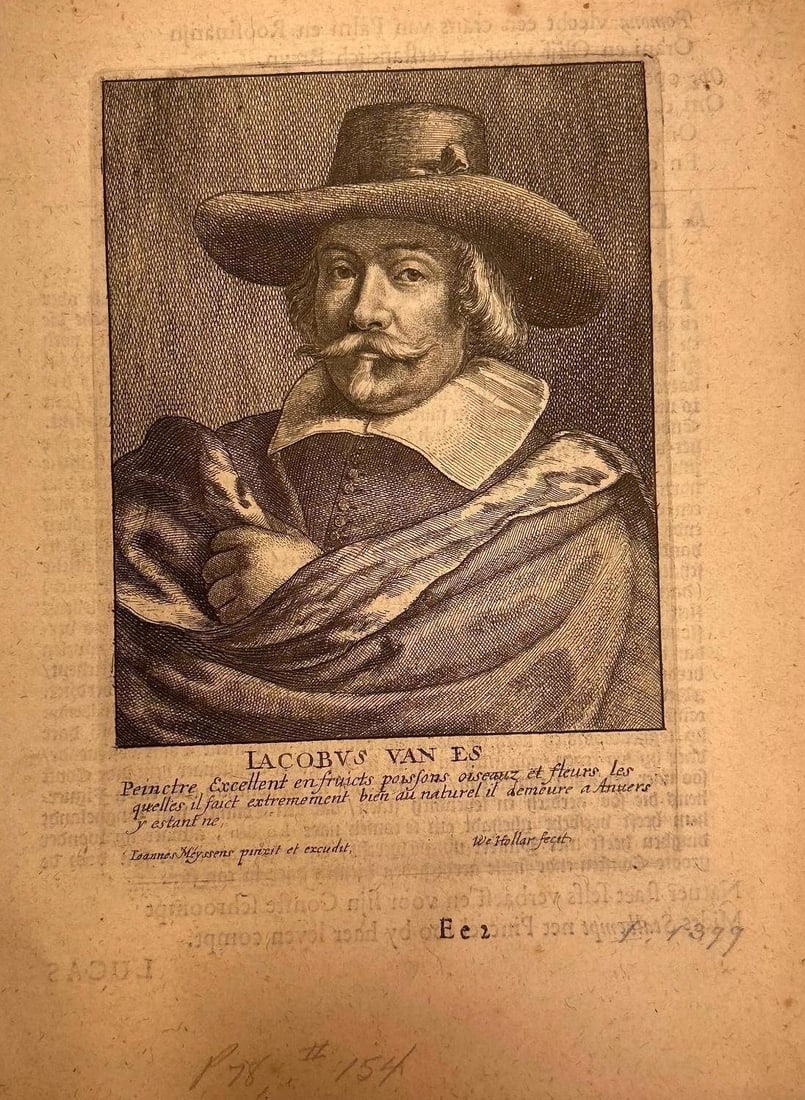 'Jacob van Es' by Wenceslaus Hollar (1607-1677) (1 of 1)
