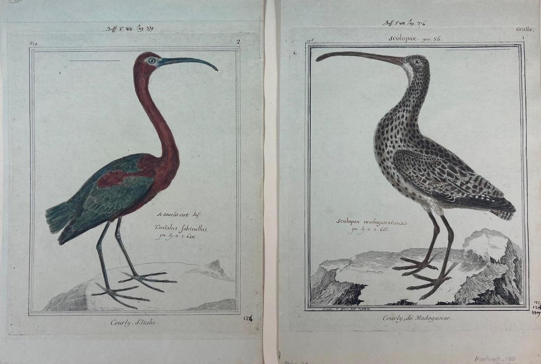 Francois Nicolas Martinet (French, 1725-1804) Plates 198 & 819 (1 of 4)