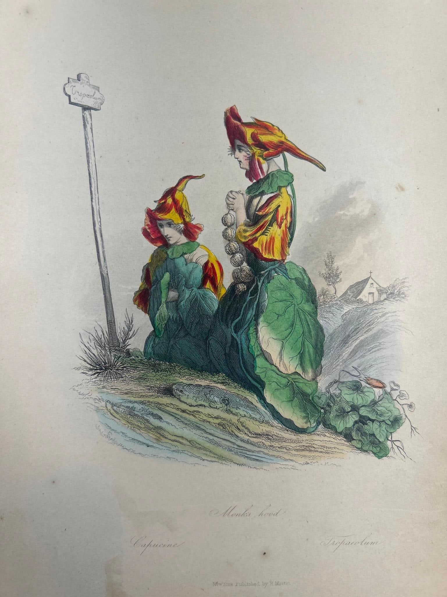 The Flowers Personifie, 'Monks hood'' J.J. Grandville (1 of 4)