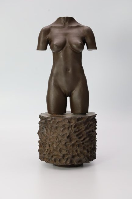 Fabulous Bronze MOCO Torso By Robert Graham B.1938-2008 (1 of 9)