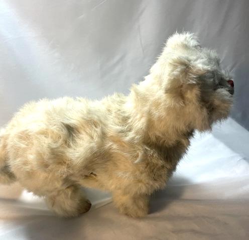 DE CAMP ANTIQUE AUTOMATON OF A FLUFFY WHITE CAT (1 of 3)