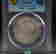 item-126167050=2