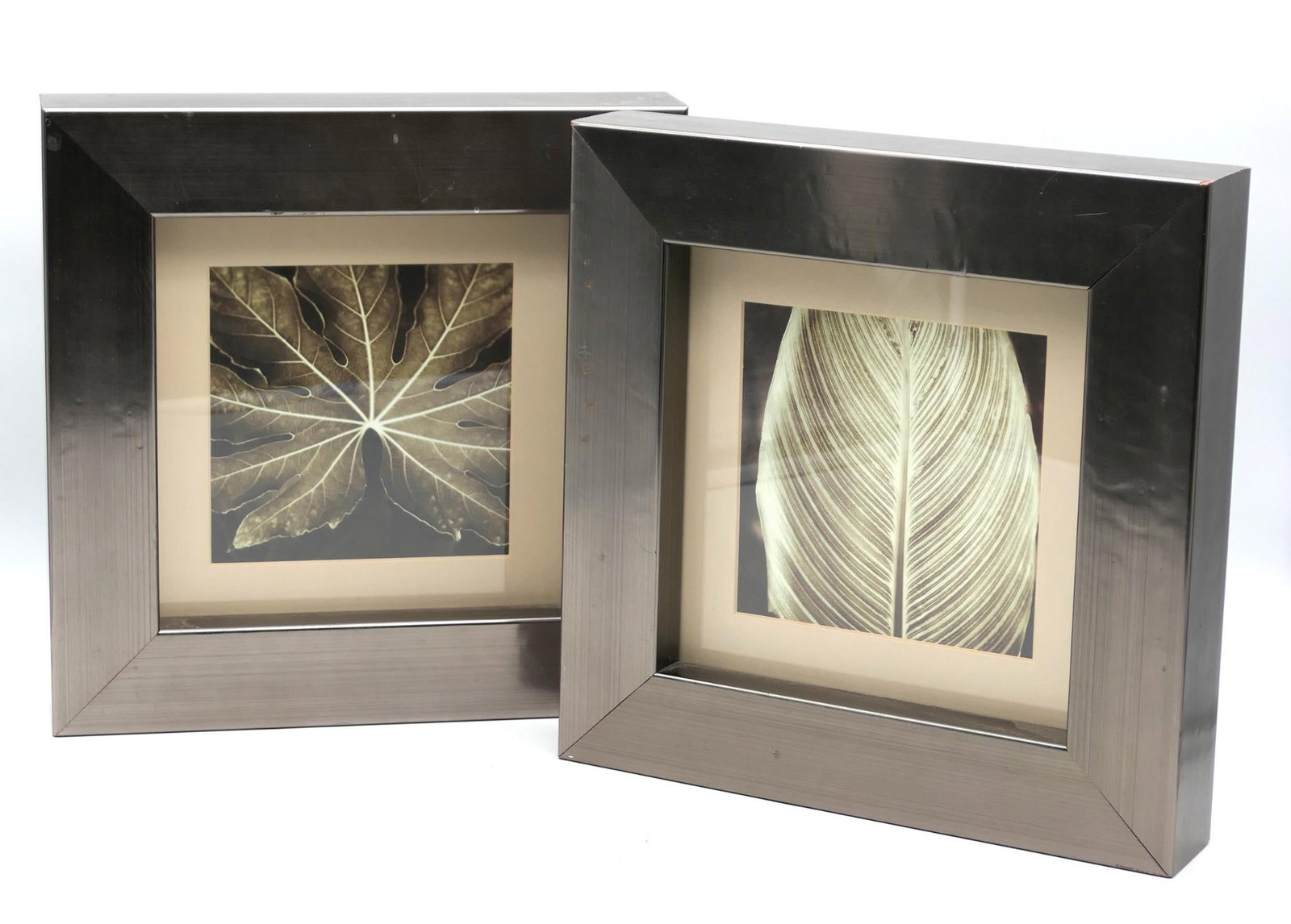 Framed Plant Photos: Two framed photos depicting leaves. Both in modern silver frames with angular design. Some wear to frame surfaces.Size: Exposed Area of Art 6.25"w x 6.25"h / Frame 13"w x 2.25"d x 13"h