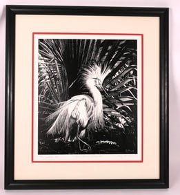 "Snowy Egret and Cabbage Palm" by Misty Jarvis