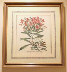 Framed Botanical Print