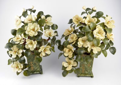 Two Large Jade Bonsai Trees