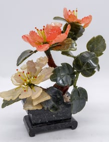 Jade Bonsai Tree