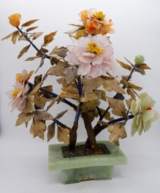 Large Jade Bonsai Tree