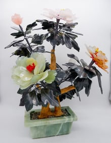 Large Jade Bonsai Tree