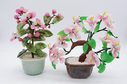 Peking Glass Bonsai Trees