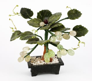 Chinese Jade Grapevine Bonsai