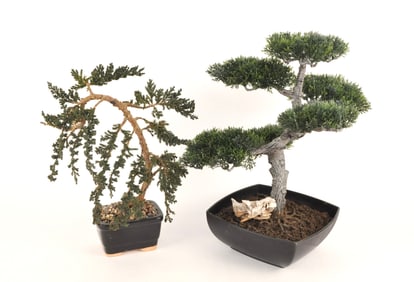 Pair of Decorative Artificial Bonsai Trees