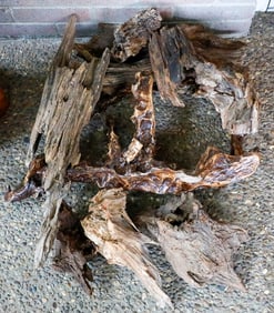 Collection of Driftwood