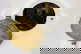 item-210618556=11