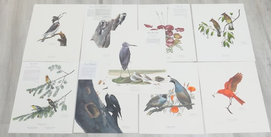 Nine Ray Harm Prints