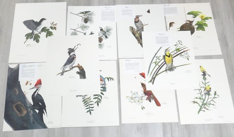 Nine Ray Harm Prints and Portfolio