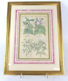 Framed Botanical Print