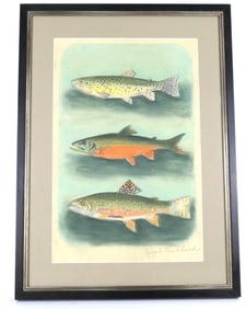 Original Watercolor of Trout by Ralph Hubbard