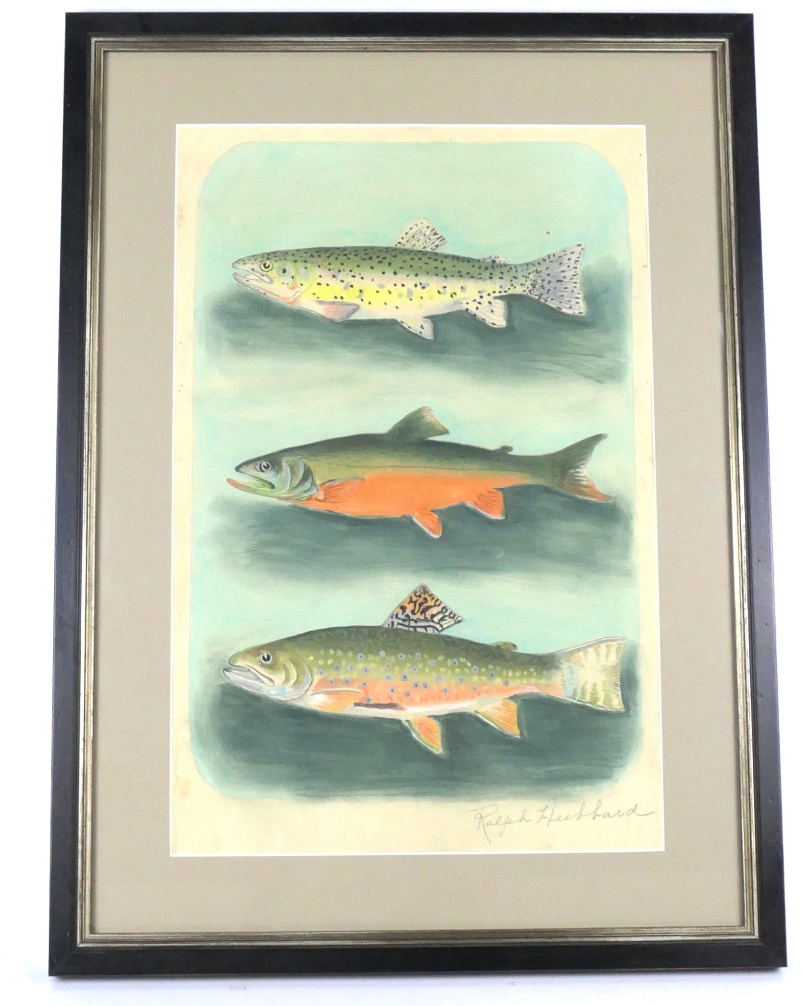 Eileen Klatt Rainbow Trout 1993 Framed Prints Of Trout