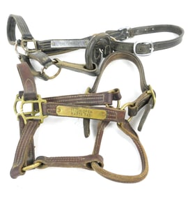 Two Racehorse Bridles