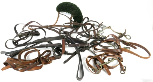 Horse Equipment