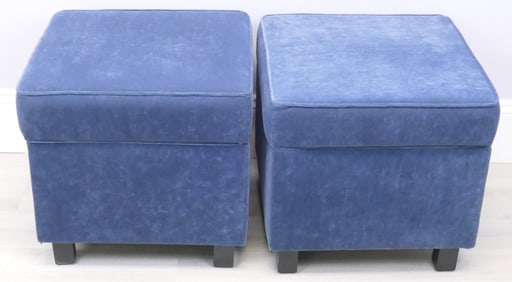 Pair of Velvet Storage Ottomans