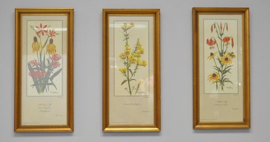 Three Ray Harm Floral Prints