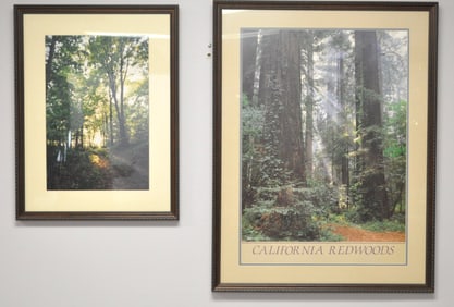 Two Nature Prints