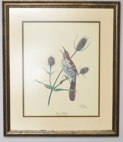 Ray Harm Brown Thrasher Print