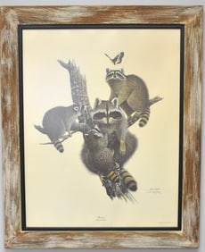 Large Ray Harm Raccoon Print