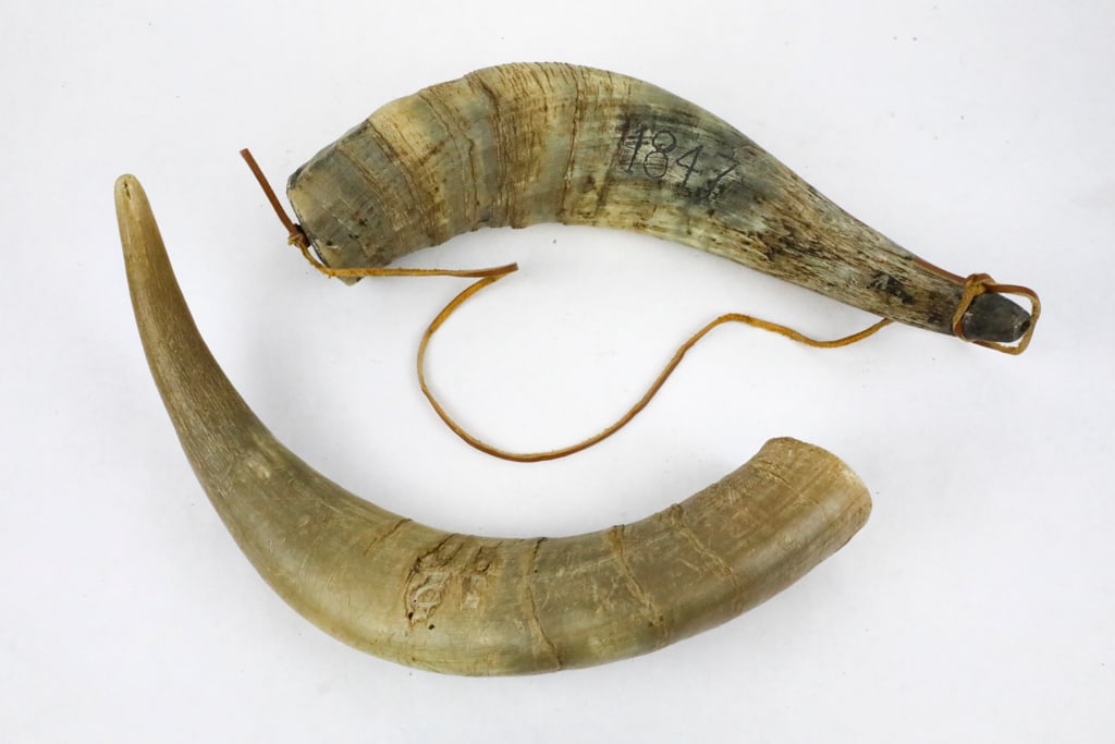 Two Steer Horns: (2) Steer horns, including one that is a powder flask with an added bottom, and capped end. The year 1847 is carved in the middle of the horn. The second horn has not been converted to a powder flask.