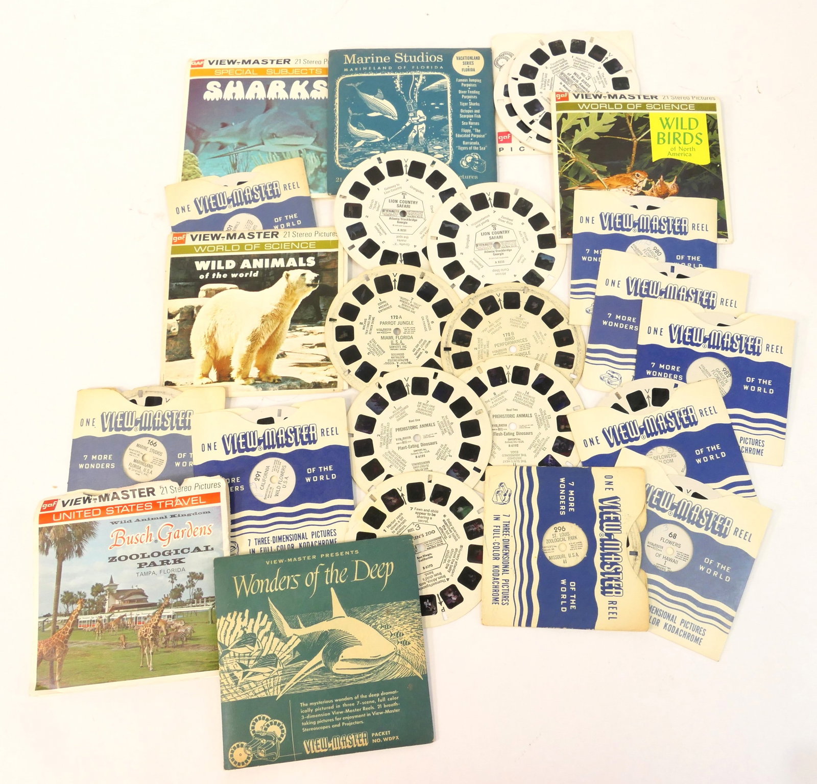 Biology and Nature View Master Reels (1 of 10)