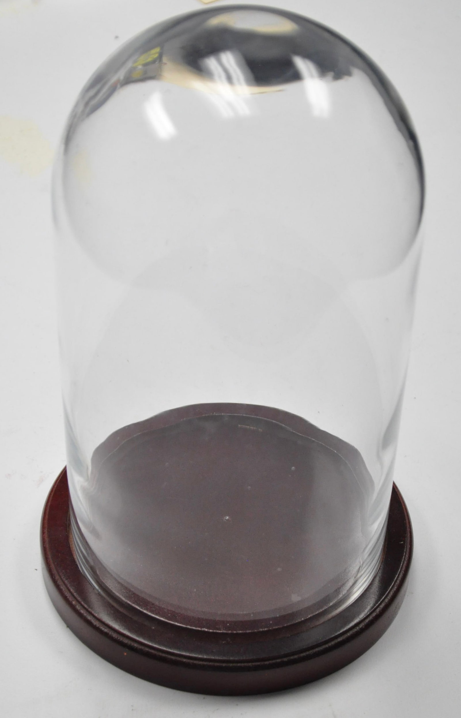 Glass Cloche (1 of 4)