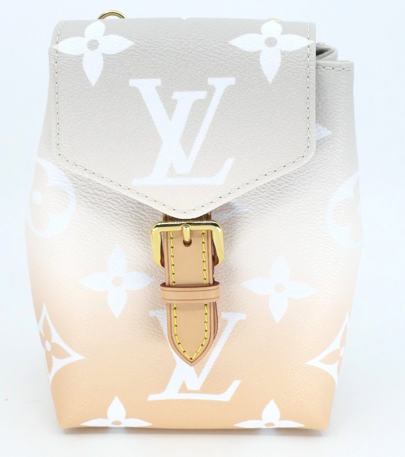 Louis Vuitton By the Pool Tiny Backpack - 2