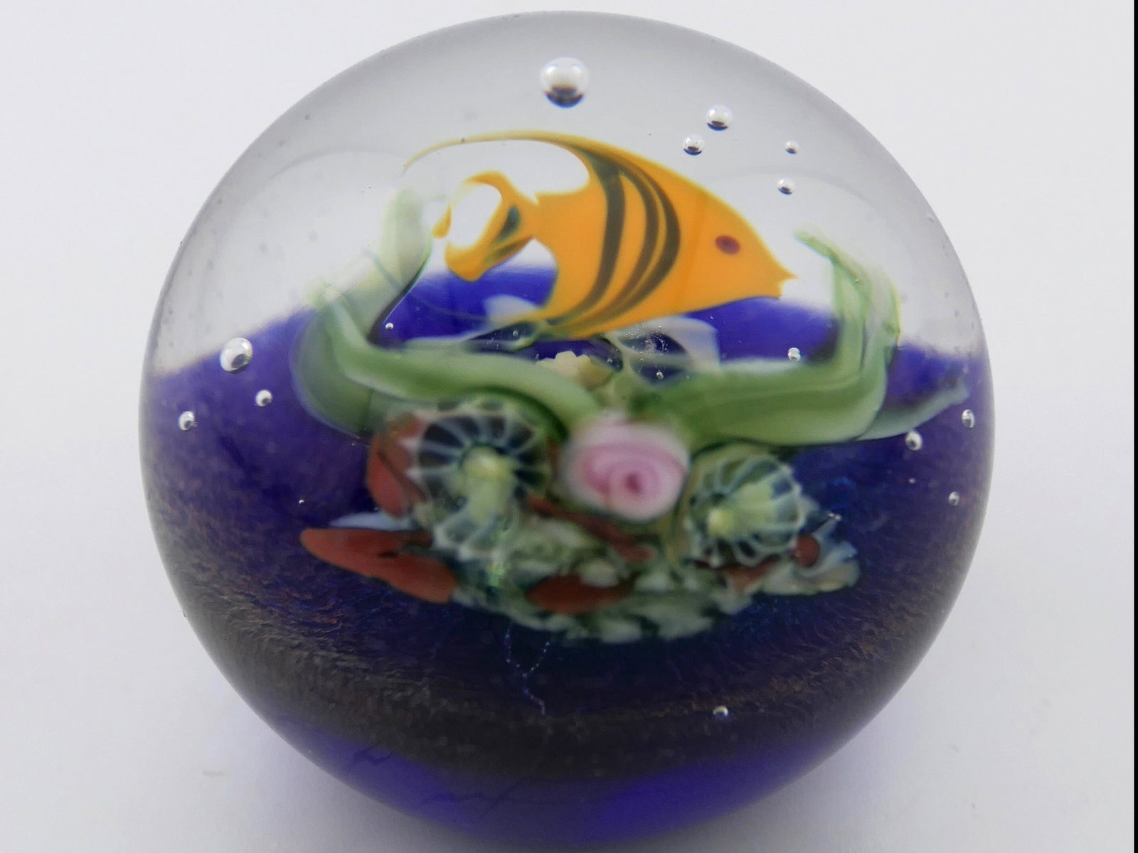 Fish Art Glass Paperweight by David Salazar: Fish art glass paperweight by David Salazar numbered 8/88. Size: 1.5"dia Location: Living Room