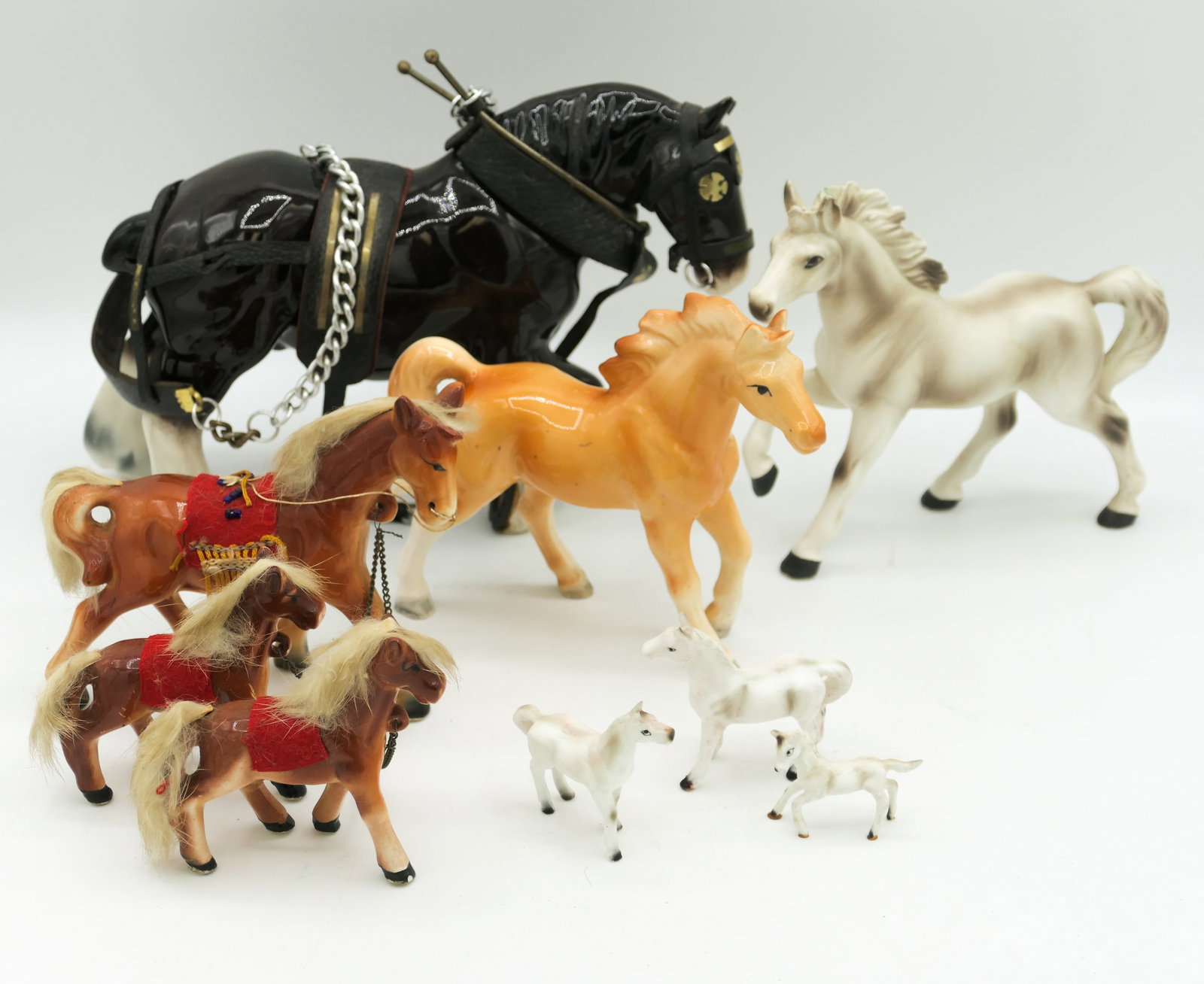 Herd of Horses (1 of 14)