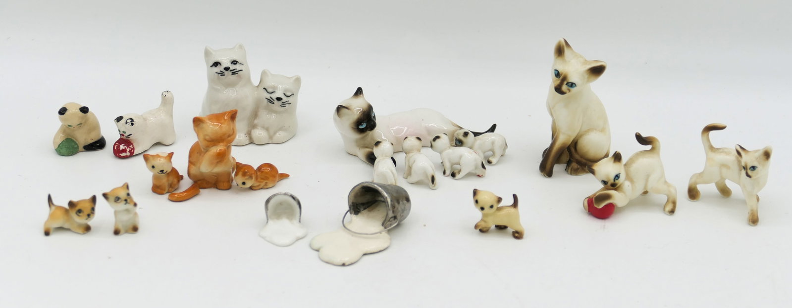 Clutter of Miniature Cats (1 of 4)