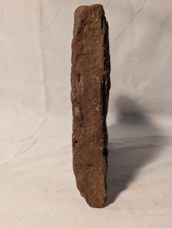 Fossilized Jasper Rock Slab - 11