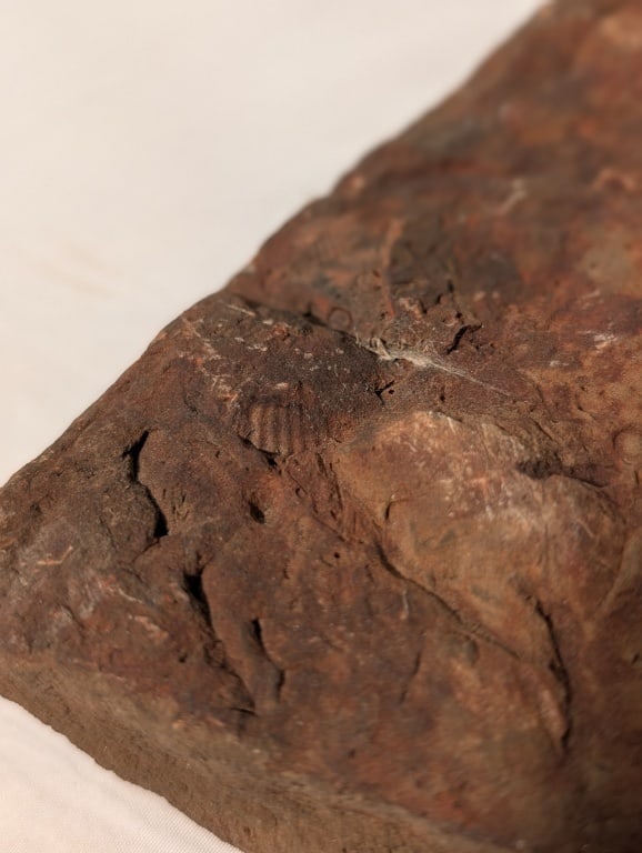 Fossilized Jasper Rock Slab - 13