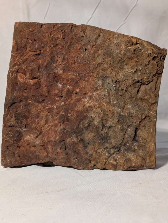 Fossilized Jasper Rock Slab: Fossilized Jasper Rock Slab. Rough, unpolished. Meas. 7h" x 7 3/4w" x 1 1/2"d.