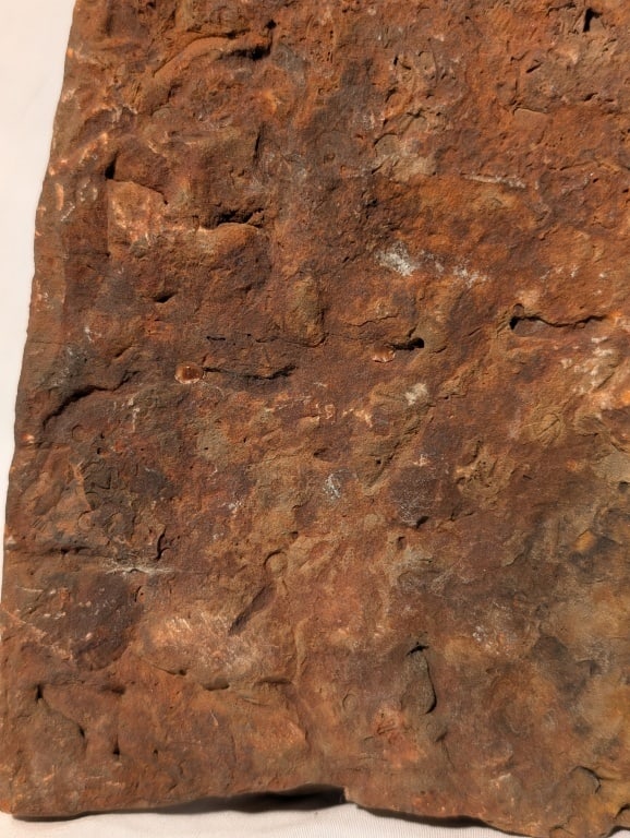 Fossilized Jasper Rock Slab - 2