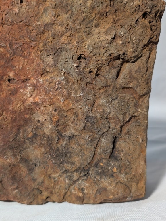 Fossilized Jasper Rock Slab - 6