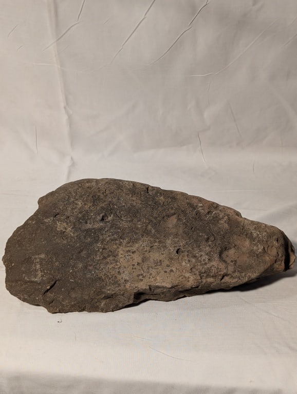 Fossilized Rock - Slab - 7